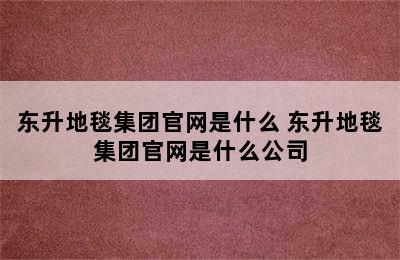 东升地毯集团官网是什么 东升地毯集团官网是什么公司